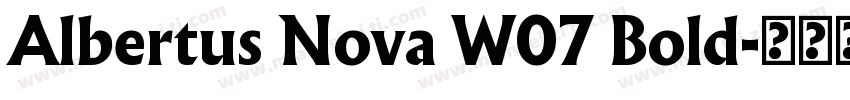 Albertus Nova W07 Bold字体转换